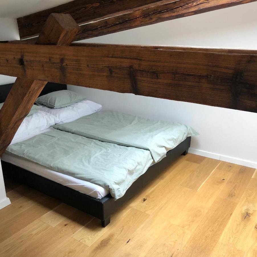 Trenčín Loft V Historickom Centre מראה חיצוני תמונה